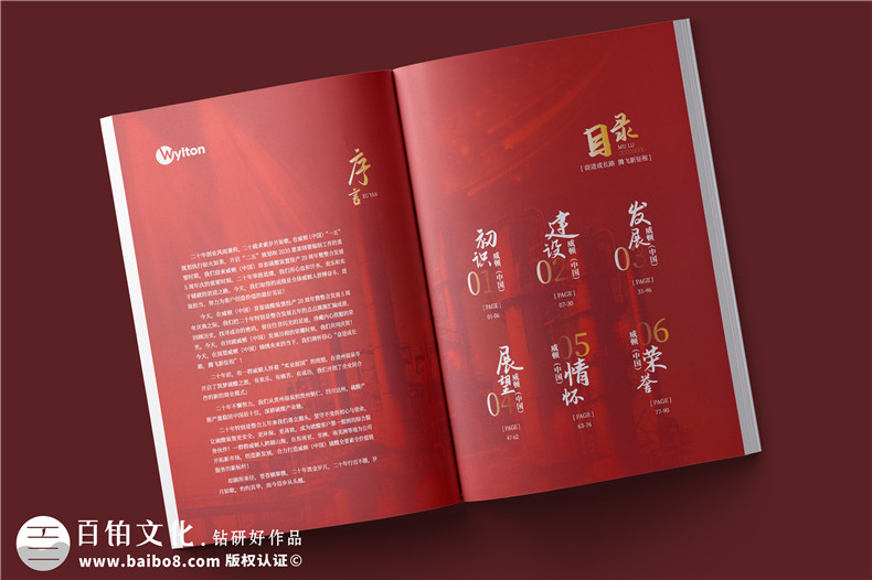 化工企業(yè)20周年紀念冊設計-公司整合發(fā)展大事記畫(huà)冊