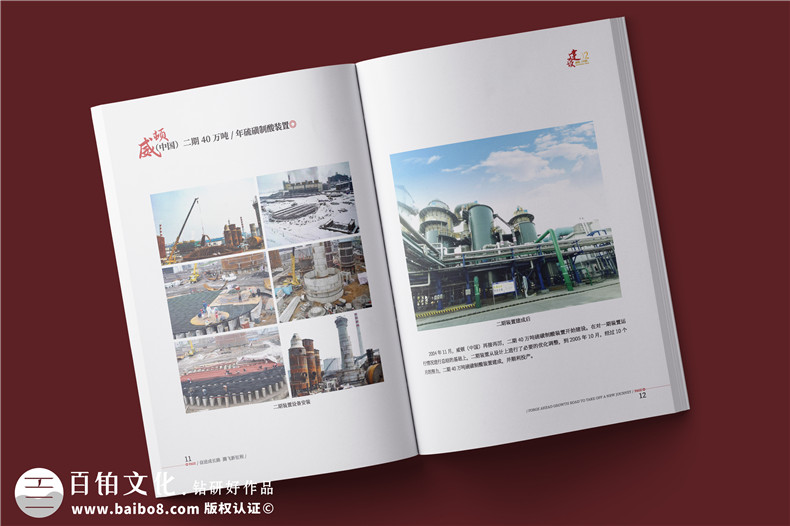 化工企業(yè)20周年紀念冊設計-公司整合發(fā)展大事記畫(huà)冊