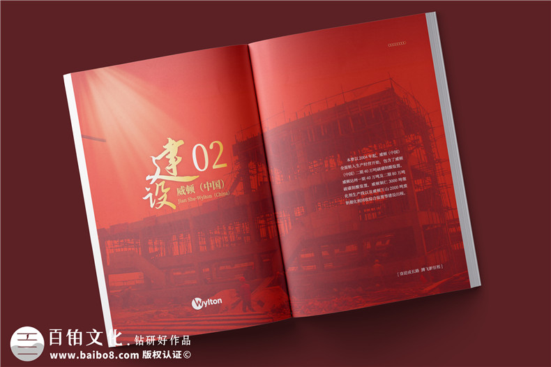 化工企業(yè)20周年紀念冊設計-公司整合發(fā)展大事記畫(huà)冊