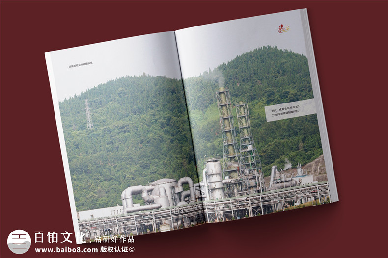化工企業(yè)20周年紀念冊設計-公司整合發(fā)展大事記畫(huà)冊