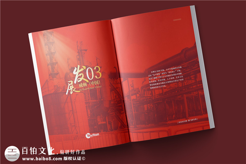 化工企業(yè)20周年紀念冊設計-公司整合發(fā)展大事記畫(huà)冊