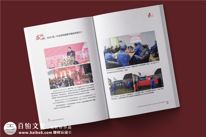 化工企業(yè)20周年紀念冊設計-公司整合發(fā)展大事記畫(huà)冊