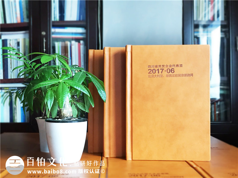 企業(yè)代表團出國考察紀念冊定制-培訓學(xué)習留念相冊