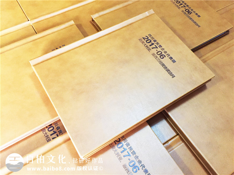 企業(yè)代表團出國考察紀念冊定制-培訓學(xué)習留念相冊