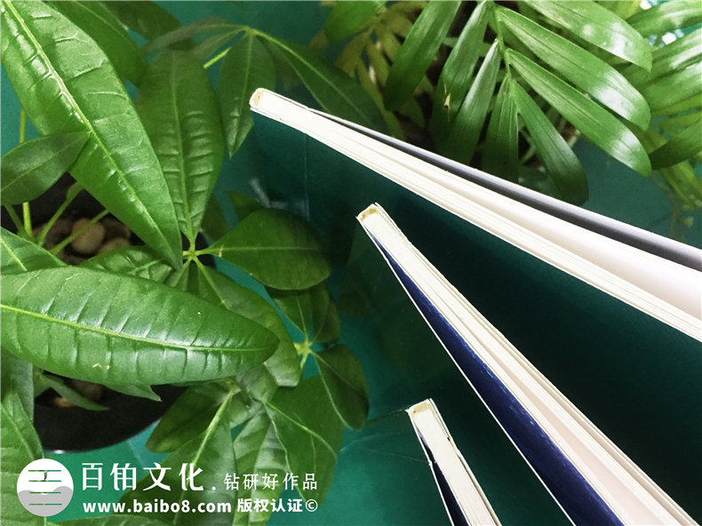 公司培訓紀念冊-企業(yè)活動(dòng)相冊制作-碧桂園地產(chǎn)