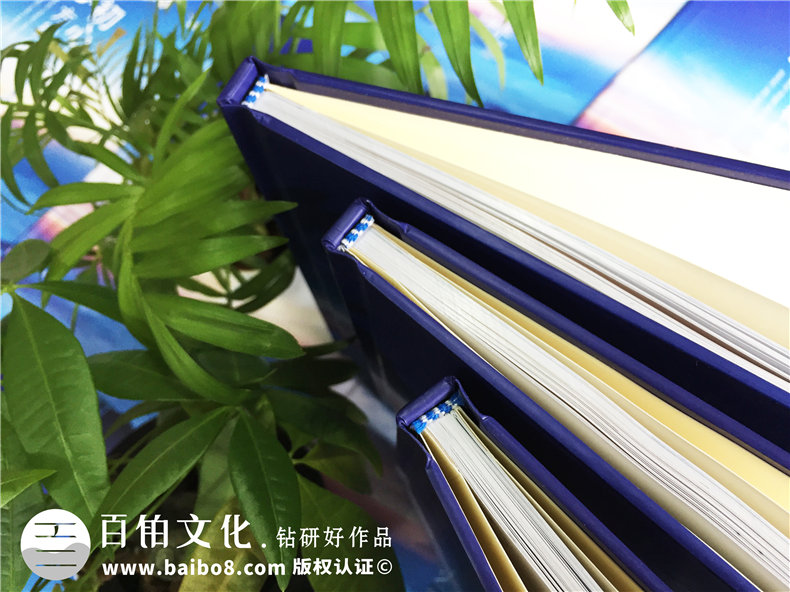 企業(yè)團隊活動(dòng)紀念冊設計-公司年度總結相冊制作