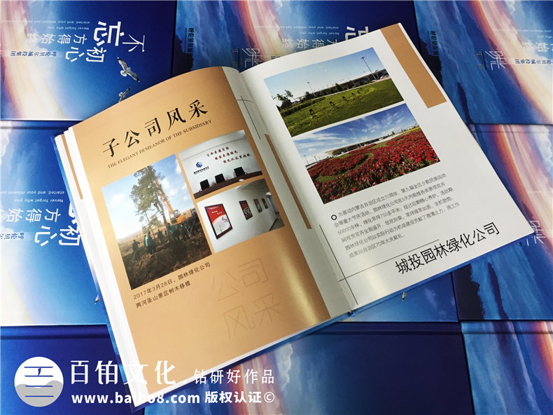 企業(yè)團隊活動(dòng)紀念冊設計-公司年度總結相冊制作