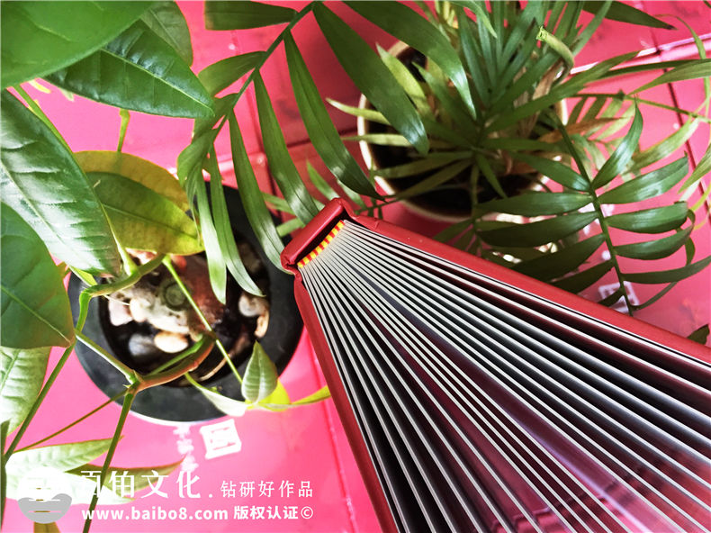 公司團年活動(dòng)紀念冊-端午元旦中秋節日慶祝相冊