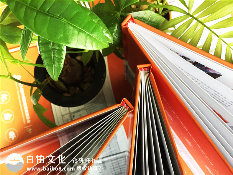 企業(yè)展覽會(huì )活動(dòng)紀念冊設計-會(huì )展公司畫(huà)冊制作