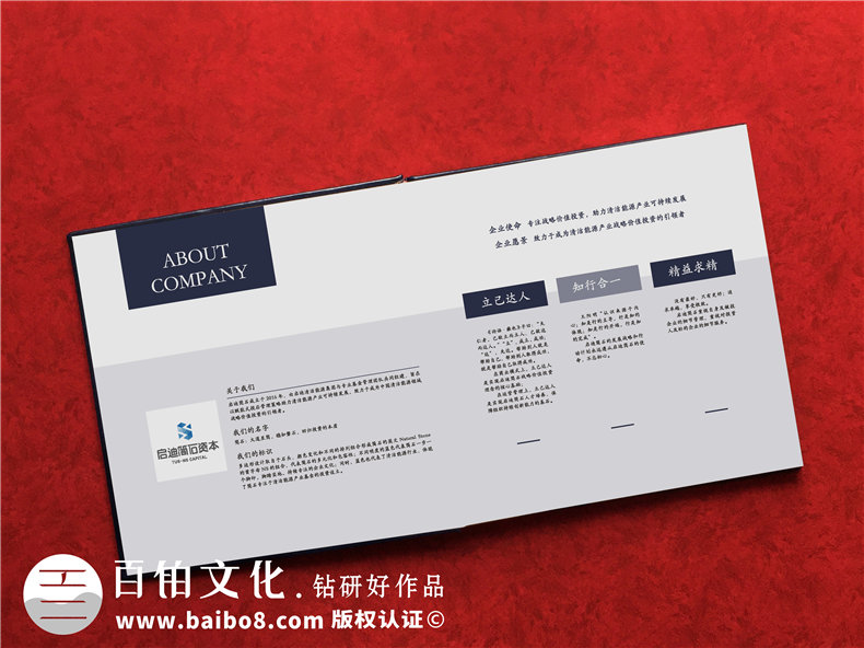 高端企業(yè)周年慶畫(huà)冊設計制作方案賞析-布面燙金紀念相冊案例模板