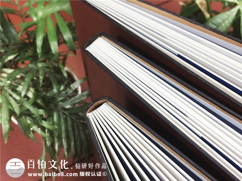 政府人員出國考察學(xué)習培訓紀念冊-機關(guān)單位領(lǐng)導視察影集相冊