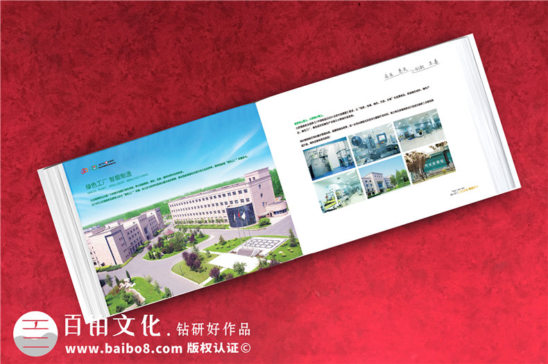 企業(yè)周年慶紀念冊包含哪些內容框架-分公司支部建廠(chǎng)成立二十年畫(huà)冊