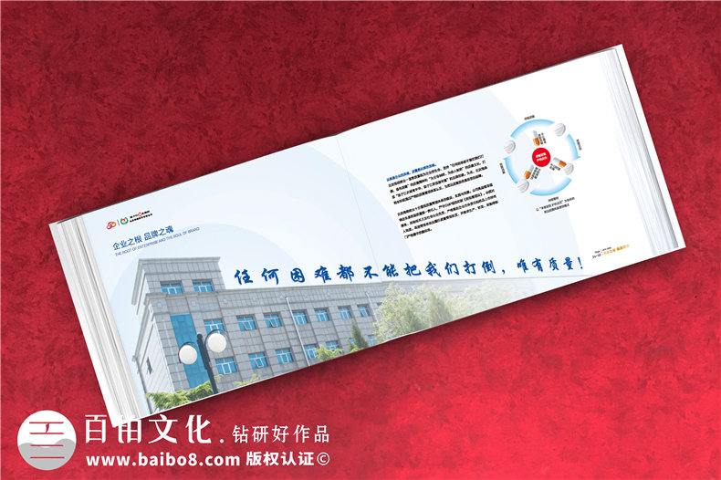 企業(yè)周年慶紀念冊包含哪些內容框架-分公司支部建廠(chǎng)成立二十年畫(huà)冊