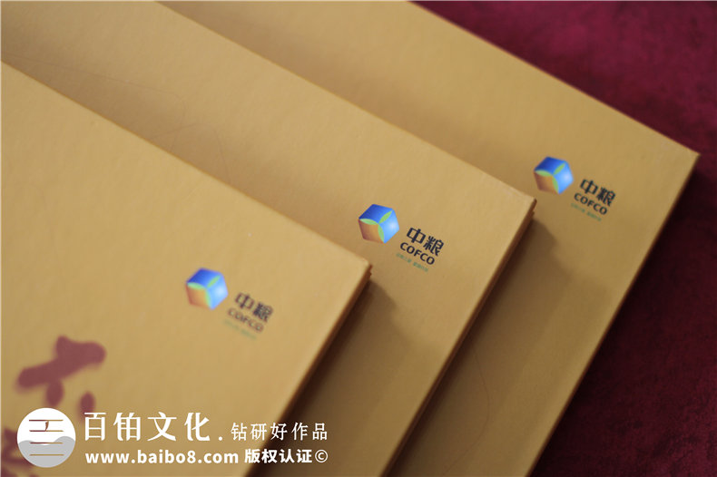 企業(yè)十周年影像紀念冊怎么做-用于宣傳的知名公司周年慶畫(huà)冊設計