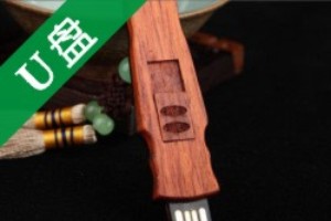 成都禮品U盤(pán)定制廠(chǎng)家-U盤(pán)刻字印LOGO-企業(yè)專(zhuān)用/聚會(huì )/活動(dòng)記錄優(yōu)盤(pán)