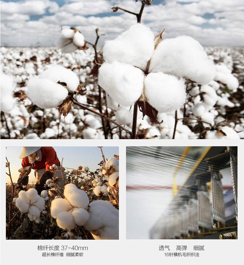 成都文化衫定制禮品設計 企業(yè)廣告衫文化衫定做與圖案設計