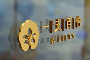 連鎖酒店品牌形象策劃-能助力營(yíng)銷(xiāo)推廣的酒店品牌設計方案怎么做?