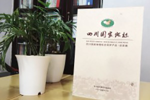 四川國家地標-成都地方志書(shū)籍縣志印刷制作