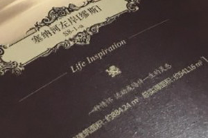 樓盤(pán)宣傳冊設計-別墅樓書(shū)制作-成都樓書(shū)印刷公司