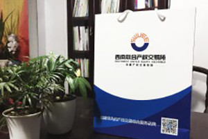 成都公司宣傳畫(huà)冊設計-企業(yè)手提袋定制