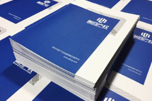 資產(chǎn)管理交易企業(yè)畫(huà)冊設計制作-成都網(wǎng)絡(luò )交易平臺宣傳畫(huà)冊定制公司