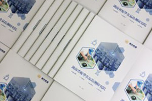 【食品檢測公司宣傳冊設計】食品企業(yè)畫(huà)冊制作-長(cháng)沙畫(huà)冊設計公司