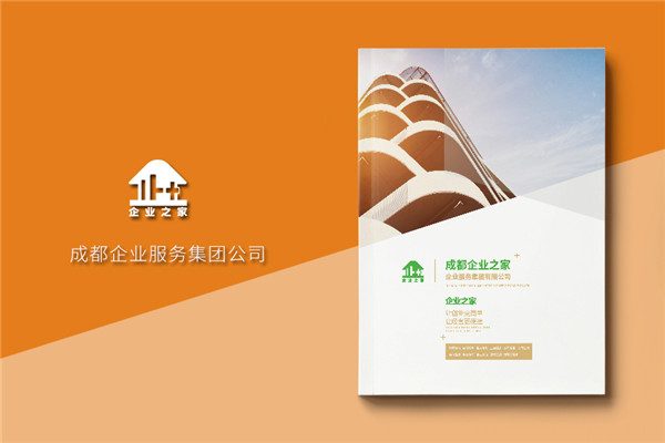 企業(yè)服務(wù)公司宣傳冊制作-財稅咨詢(xún)會(huì )計服務(wù)公司畫(huà)冊設計