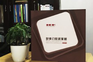 好多門(mén)軟裝家居宣傳畫(huà)冊定制-產(chǎn)品宣傳畫(huà)冊