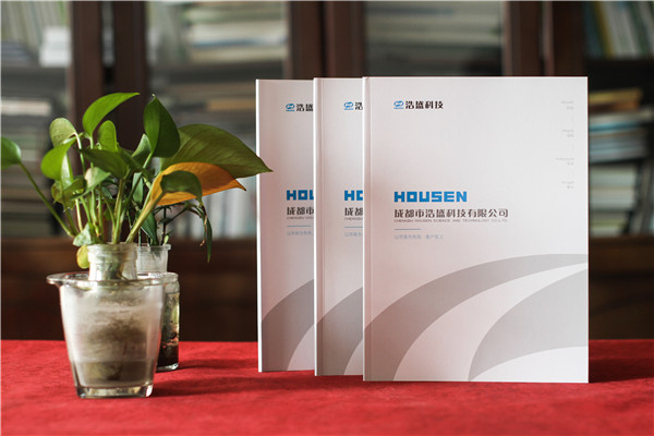 ICT軟硬件開(kāi)發(fā)信息化科技企業(yè)畫(huà)冊設計-弱電工程建設公司宣傳冊