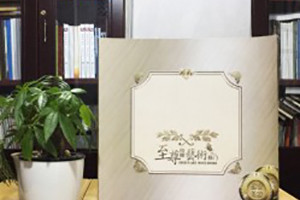 至尊精雕移門(mén)宣傳畫(huà)冊-家具產(chǎn)品畫(huà)冊設計