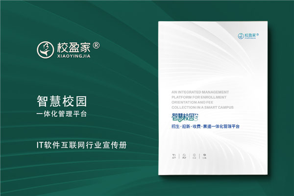 IT行業(yè)宣傳冊設計-軟件互聯(lián)網(wǎng)管理系統畫(huà)冊定制