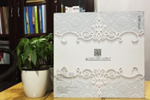 艾美家居衣柜畫(huà)冊設計-家具畫(huà)冊定制