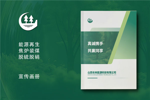 消煙除塵環(huán)境工程公司宣傳冊-脫硫脫硝企業(yè)畫(huà)冊