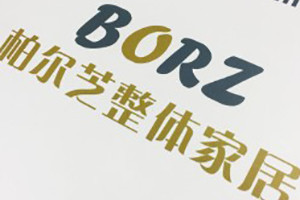 柏爾芝整體家居畫(huà)冊設計制作-定制衣柜產(chǎn)品畫(huà)冊
