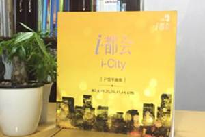 樓書(shū)設計-樓房平面展示宣傳畫(huà)冊