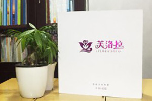 芙洛拉沙發(fā)宣傳畫(huà)冊-家居畫(huà)冊-家具宣傳冊