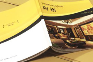 陶格個(gè)性定制藝術(shù)背景墻-產(chǎn)品宣傳畫(huà)冊設計