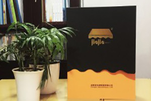 太陽(yáng)傘產(chǎn)品宣傳畫(huà)冊設計-公司產(chǎn)品樣冊制作