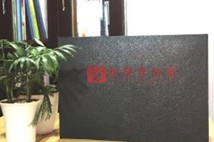 新意佳沙發(fā)-產(chǎn)品宣傳畫(huà)冊設計-家具宣傳冊制作