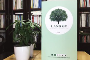 朗固裝飾材料-家具色卡設計定做-木門(mén)色卡制作