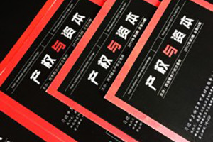 《產(chǎn)權與資本》企業(yè)內刊設計-公司形象畫(huà)冊