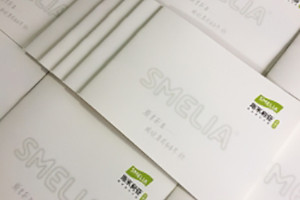 成都畫(huà)冊設計公司哪家好-硅藻泥行業(yè)宣傳冊