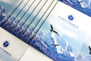 文化傳播公司宣傳冊設計-傳媒公司畫(huà)冊怎么制作