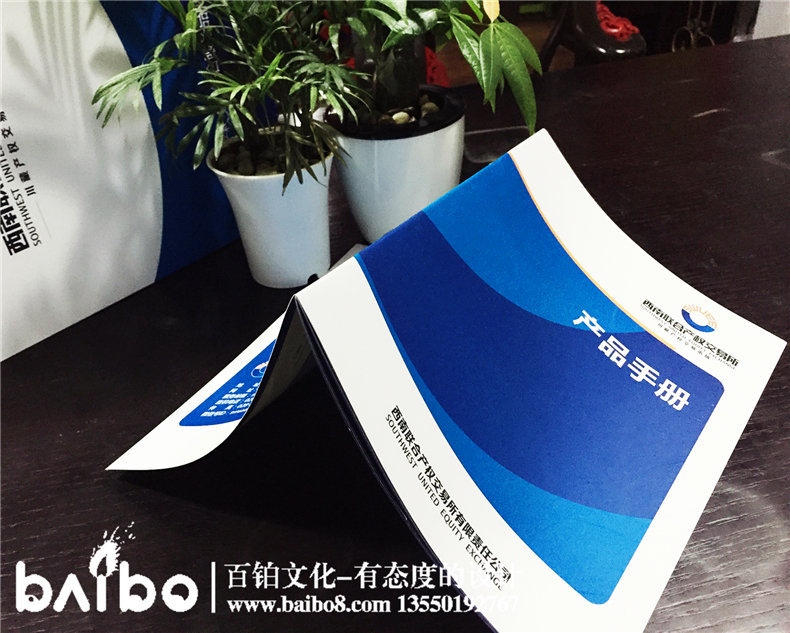 產(chǎn)品畫(huà)冊制作-成都畫(huà)冊設計印制