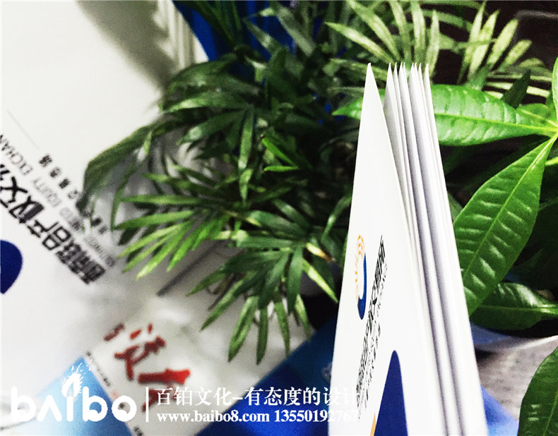 產(chǎn)品畫(huà)冊制作-成都畫(huà)冊設計印制