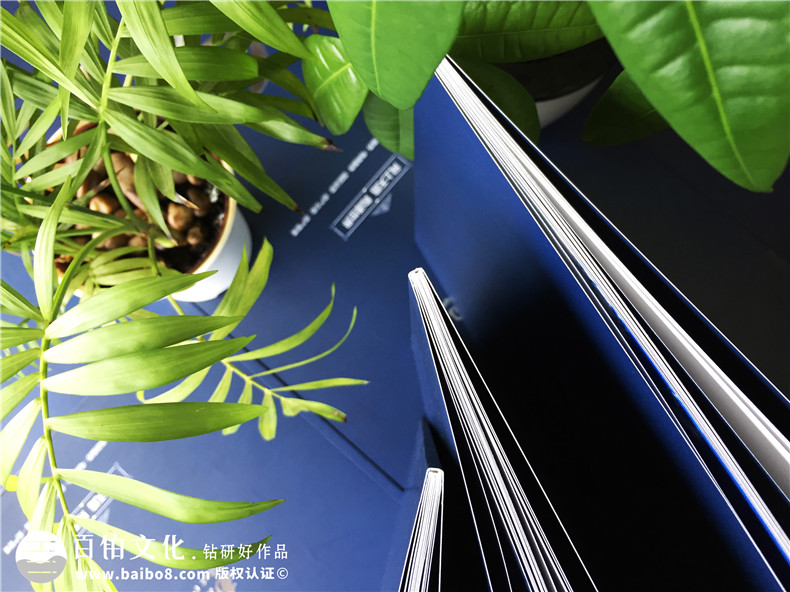 「案例」電商平臺企業(yè)宣傳畫(huà)冊設計-如何制作互聯(lián)網(wǎng)公司產(chǎn)品宣傳冊