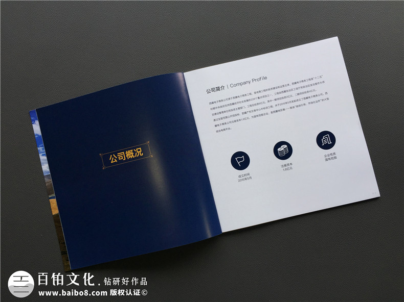 「案例」電商平臺企業(yè)宣傳畫(huà)冊設計-如何制作互聯(lián)網(wǎng)公司產(chǎn)品宣傳冊