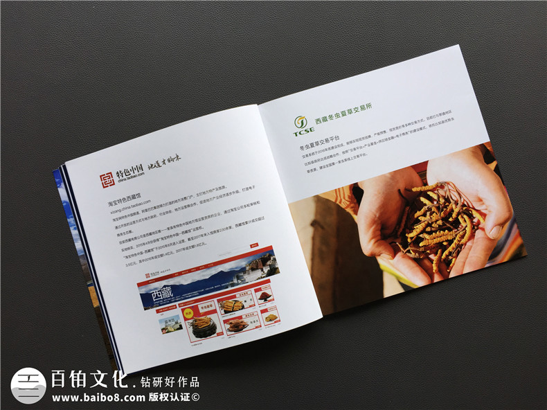 「案例」電商平臺企業(yè)宣傳畫(huà)冊設計-如何制作互聯(lián)網(wǎng)公司產(chǎn)品宣傳冊