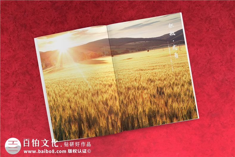 智能科技信息技術(shù)公司畫(huà)冊設計-智慧城市產(chǎn)品宣傳冊彩頁(yè)