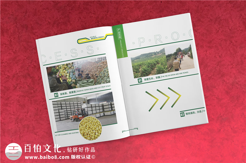 【水果宣傳冊設計】 農業(yè)公司農產(chǎn)品畫(huà)冊制作 樣本冊印刷